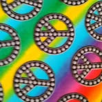 Lisa Bolster - Facebook