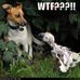 Lisa Bassford - Facebook