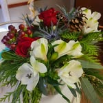 Lisa Bourget - @bourgetlisam - Instagram