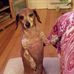 Lise Bourget - Facebook
