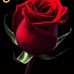 Lisa Bourne - Facebook
