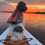 Lisa C. Bourque - @lisa.bourque02 - Instagram