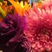 Lisa Bowers - Facebook