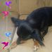 Lisa Boyett - Facebook