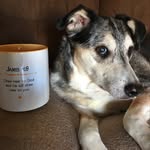 Lisa Braddock - @helpwhats4dinner - Instagram