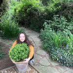 Lisa Brain - @lisabrain124 - Instagram