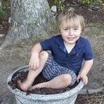 Lisa Breault - @lisabreault333 - Instagram