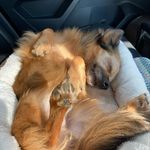 Lisa Breault-Fricovsky - @lisafricovsky - Instagram