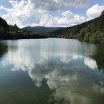 @lisabreedingground - Instagram