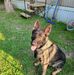 Lisa Breneman - Facebook
