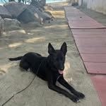Lisa Breneman - @lvbreneman - Instagram