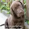 lisabreyton1 - @lisabreyton1 - TikTok