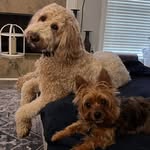 Lisa Brickey - @lisa.brickey1964 - Instagram
