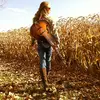 Lisa BrickHaus - @lisabrickhaus - TikTok