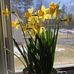 Lisa Brideau - Facebook