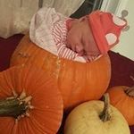 Lisa Brigham - @brigham.lisa - Instagram