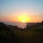 lisa brindley - @lisabrindley1973 - Instagram