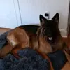Lisa Brinkers - @lisa.brinkers3 - TikTok