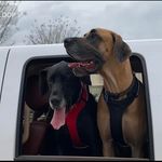 Lisa Ingram Brinker - @lisa.i.brinker - Instagram