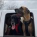 Lisa Ingram Brinker - Facebook