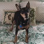 Lisa B Marx - @lisa.brinton.marx - Instagram