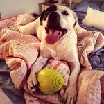 Lisa Broder - @lisa.broder.104 - Instagram