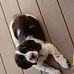 Lisa Broders - Facebook