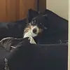 Lisa Buchmann - @oscara.com - TikTok