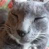 Lisa Bumgardner - @lisa.bumgardner2 - TikTok