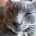 Lisa Bumgardner - Facebook