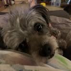 Lisa Bunker - Facebook