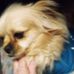 Lisa Burchell Willyerd - Facebook