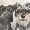 Lisa Copeland-Burchell - @lisa.copelandburc - TikTok