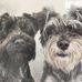 Lisa Copeland-Burchell - Facebook