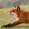 Lisa Burd - @lisa.burd4 - TikTok