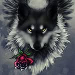 Lisa Burrow - @burrow3035 - Instagram