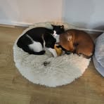Lisa Buschmann - Facebook