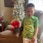 Lisa Butera Miller - @lisabuteramiller - Instagram