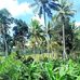 Priyanka Behera Liza - Facebook