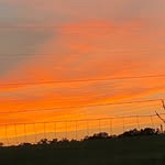 Lisa Byars - @byars3245 - Instagram