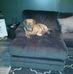 Lisa Byrum - Facebook