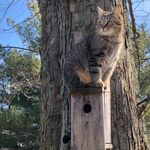 Lisa Byrum Montgomery - @lkmontgo - Instagram