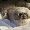 Lisa Cable - @lisa.cable3 - TikTok