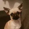 lisacaddy1990 - @kennythehero - TikTok