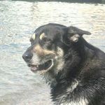 Anna Lisa Calabro' - @annalisacalabro - Instagram