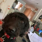 Lisa Calabro - Facebook