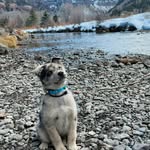 Lisa Calandra - @telluride_gunner - Instagram