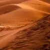 Lisa Calfee - @lisac.66 - TikTok