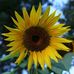 Lisa Calitri - Facebook