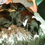 Lisa McGraw Canaday - @nikkismom21 - Instagram